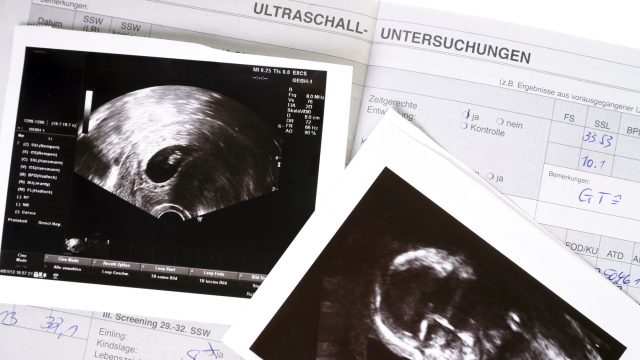 Neues Schwangerschaftsportal